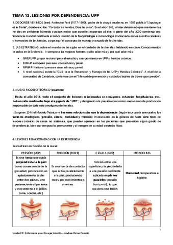 Tema-12.-Lesiones-por-dependencia-UPP.pdf