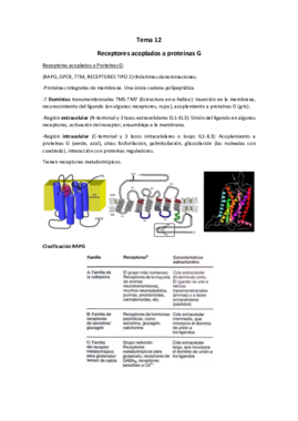 Tema 12.pdf