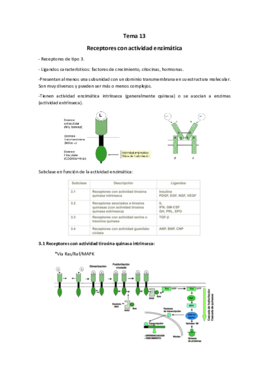 Tema 13.pdf