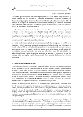 GIG-4.pdf