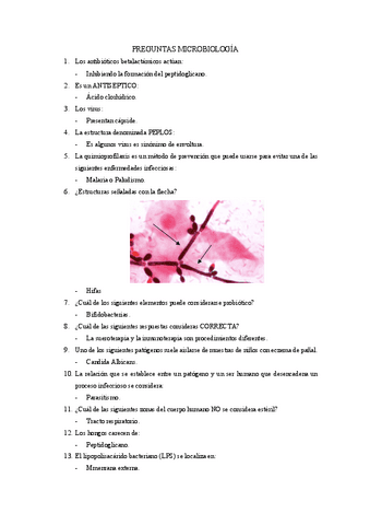 PREGUNTAS-MICROBIOLOGIA-PDF.pdf