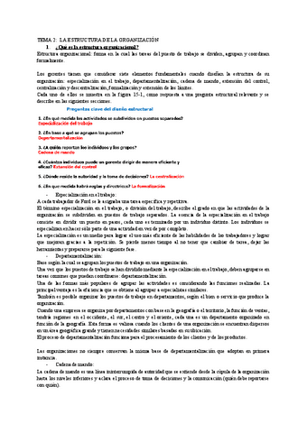 TEMA-2.pdf