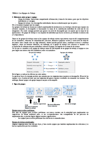 TEMA-6.pdf