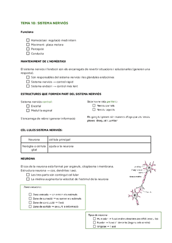 TEMA-10-SISTEMA-NERVIOS (Anatomía y Fisiología I).pdf