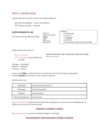 TEMA-3-SISTEMA-OSSI (Anatomía y Fisiología I).pdf