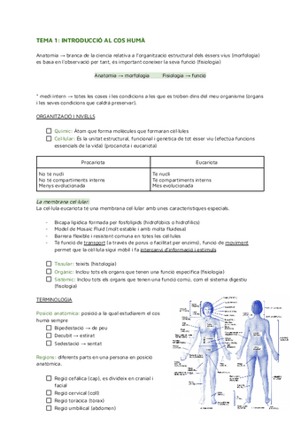 TEMA-1-INTRODUCCIO-AL-COS-HUMA (Anatomía y Fisiología I).pdf