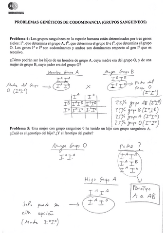 Problemas-de-Genetica-3B-RESUELTOS-1 (Biología).pdf