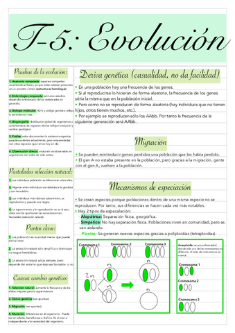 T-5-Evolucion-Biologia.pdf