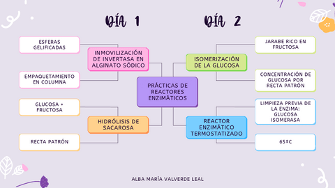 Mapa-mental-practicas.pdf
