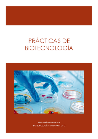 MEMORIA-DE-PRACTICAS.pdf