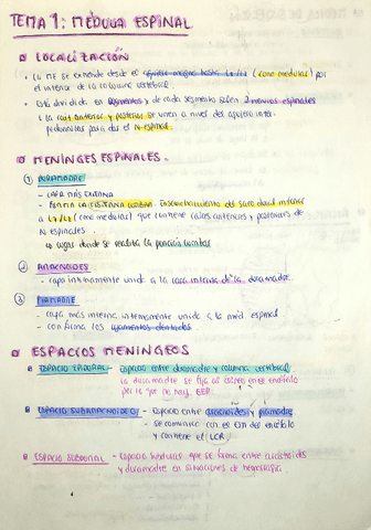 APUNTES-NEUROANATO-COMPLETOS.pdf