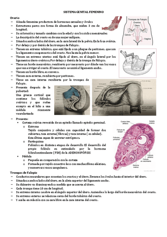 12.-SISTEMA-GENITAL-FEMENINO.pdf