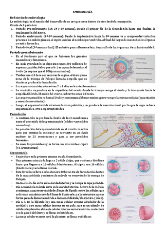 13.-EMBRIOLOGIA.pdf