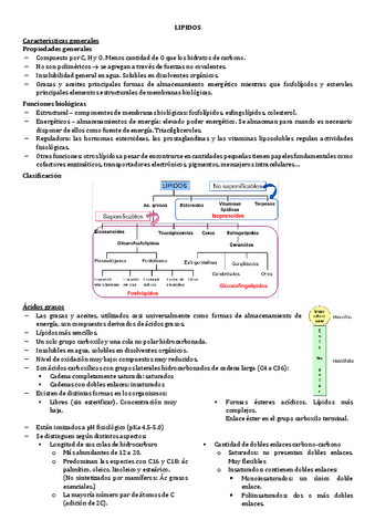 7.-LIPIDOS.pdf