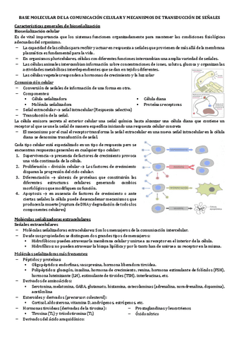 8.-BASE-MOLECULAR-DE-LA-COMUNICACION-CELULAR-Y-MECANISMOS-DE-TRANSDUCCION-DE-SENALES.pdf
