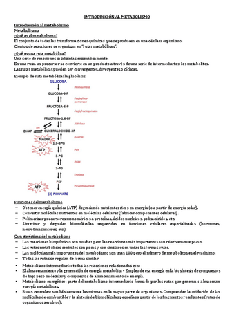 9.-INTRODUCCION-AL-METABOLISMO.pdf