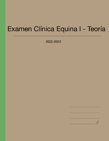 Examen-Clinica-Equina-I-Teoria.pdf
