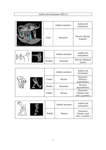 Analisis-del-estiramiento.pdf