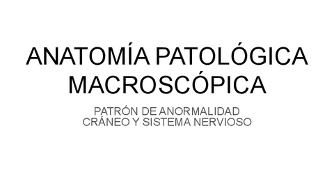 CRANEO-Y-SISTEMA-NERVIOSO-P.-ANORMALIDAD.pdf
