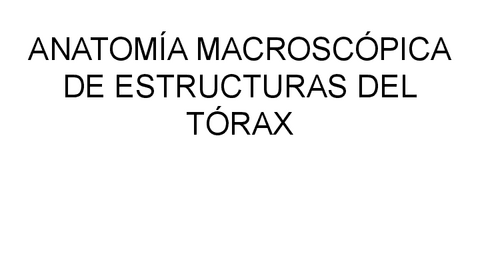 TORAX.pdf