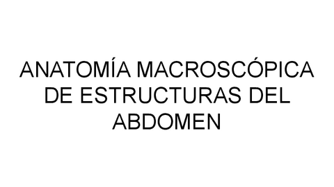 ABDOMEN.pdf