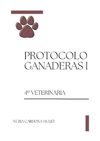 Protocolo-practicas.pdf
