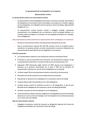 Los-representantes-unitarios.-Cuestiones-generales.pdf