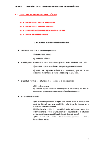 TEMA-1-RJEP.pdf