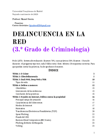 Delincuencia-en-la-red-COMPLETO.pdf
