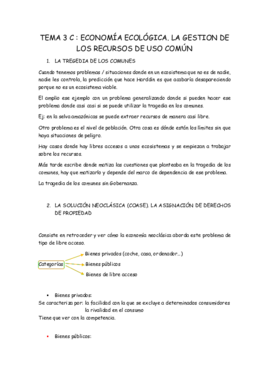 TEMA 3c economia.pdf