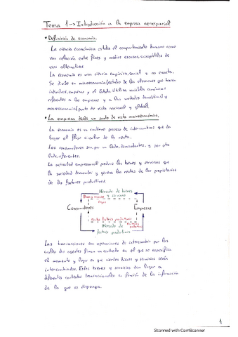 Teoria-y-problemas-Empresas.pdf