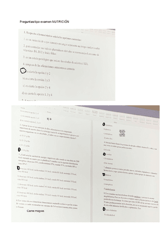 Preguntas-Nutri-copia.pdf