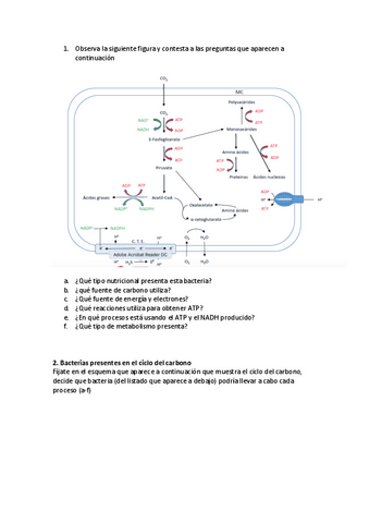tareametabolismo01.pdf
