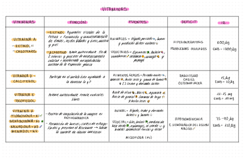 VITAMINAS.pdf