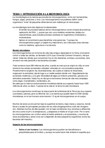 Apuntes-1ºcuatri-hasta-tema-8.pdf