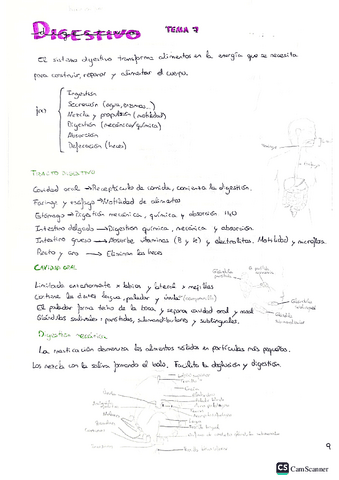 EyF-t7.pdf