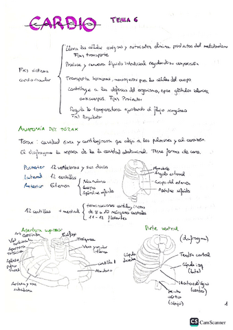 EyF-t6.pdf