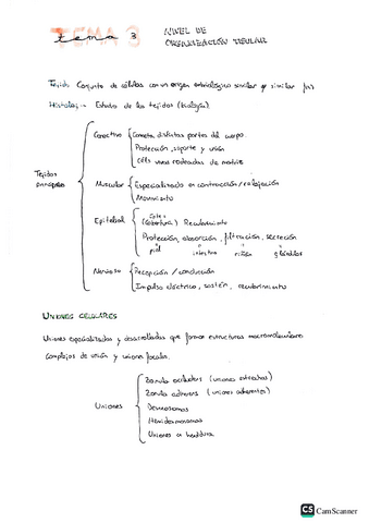 EyF-t3.pdf