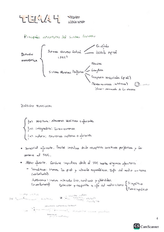 EyF-t4.pdf