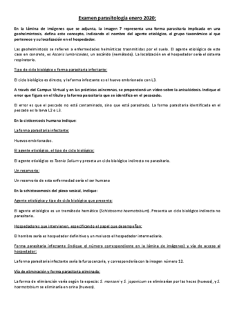 Examen-enero-2020.pdf