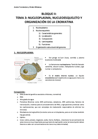 2.TEMA-3-NUCLEOPLASMA-NUCLEOESQUELETO-Y-ORGANIZACION-DE-LA-CROMATINA.pdf