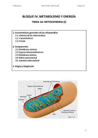 15.-TEMA-16.pdf