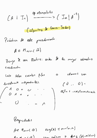 Tema-1-Introduccion-Matrices.pdf