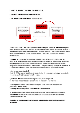 TEORIA-DE-LA-ORGANIZACION.pdf