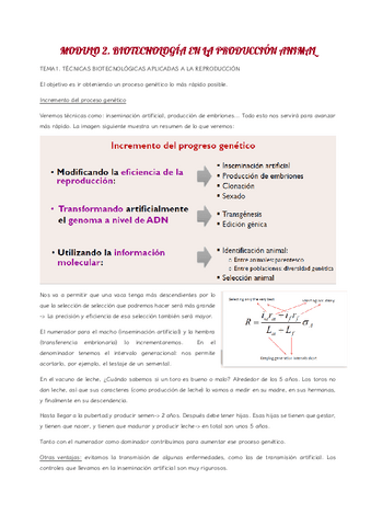Clases-Joxean-mod-2.pdf