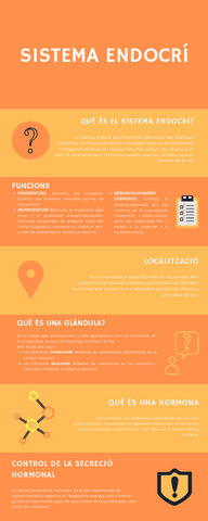 QUE ES EL SISTEMA ENDOCRINO (Català).pdf
