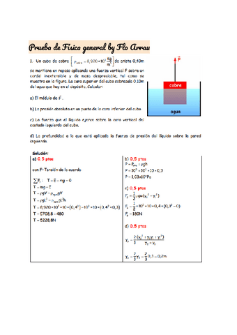 PEP-3-2-fisica-general-2004.pdf