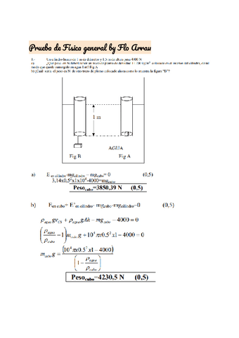 PEP-3-2-fisica-general-2007.pdf