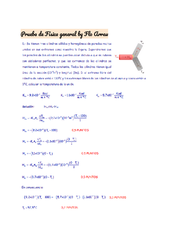 PEP-4-fisica-2004.pdf