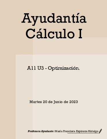 A11U3-Optimizacion.pdf
